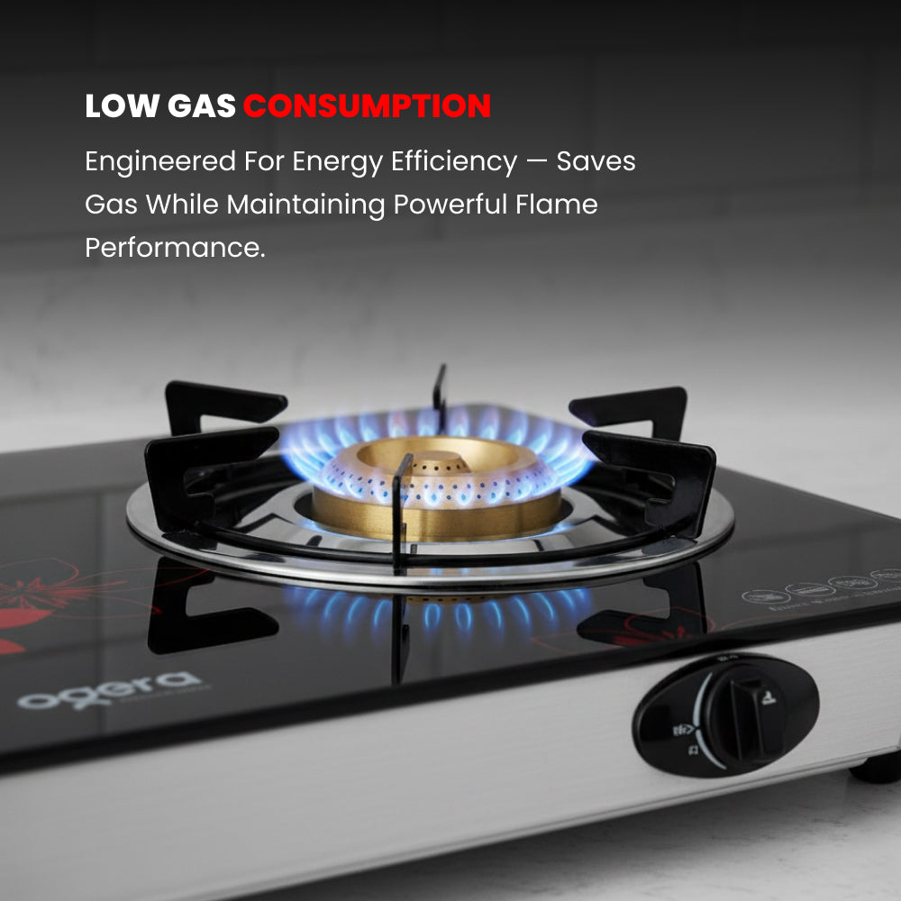 OGERA 2 BURNER GAS STOVE